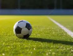 中国贸促会,美国优先,投资政策发,NG娱乐,NG娱乐平台,NG娱乐电子游戏平台,NG大舞台